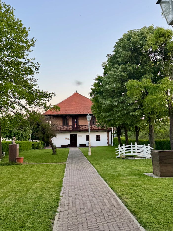 pexels photo 35338228.jpeg