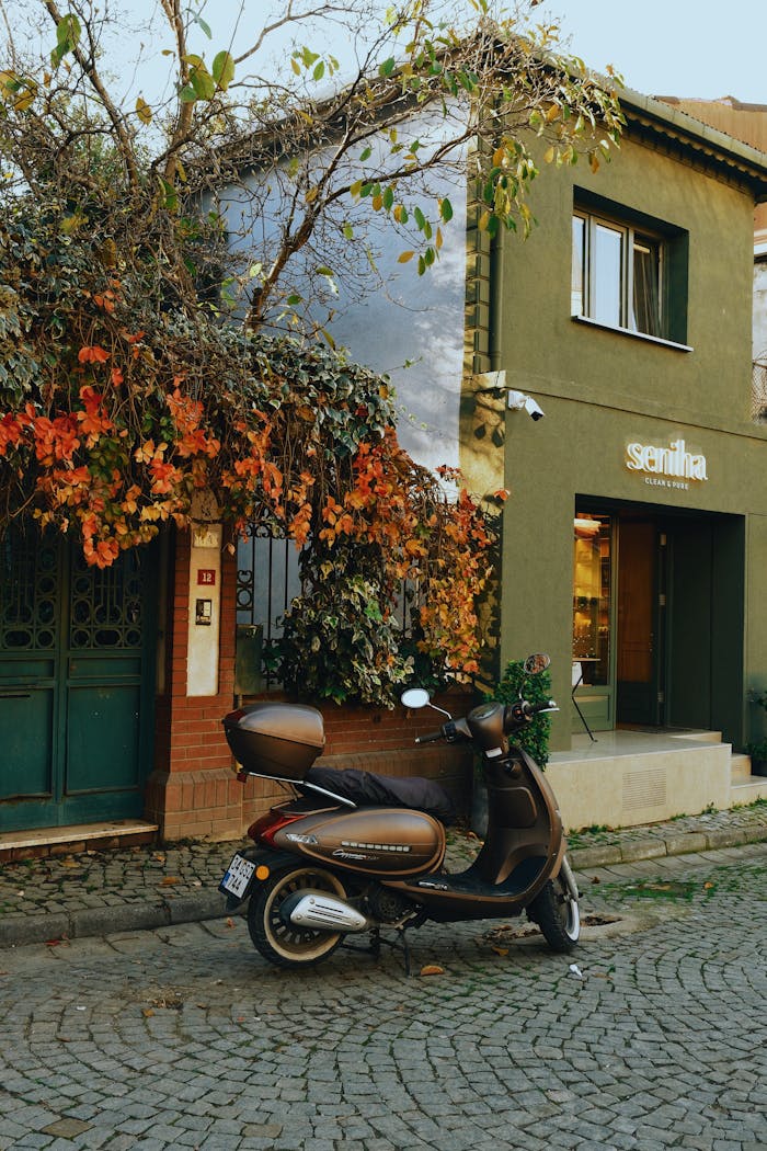 pexels photo 35351966.jpeg